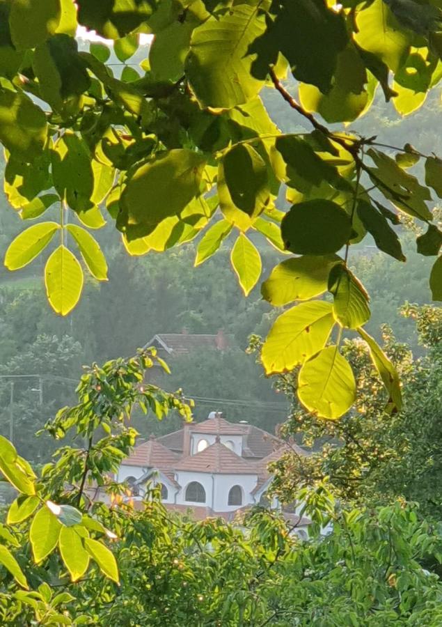 Knez Apartmani Senje Buitenkant foto