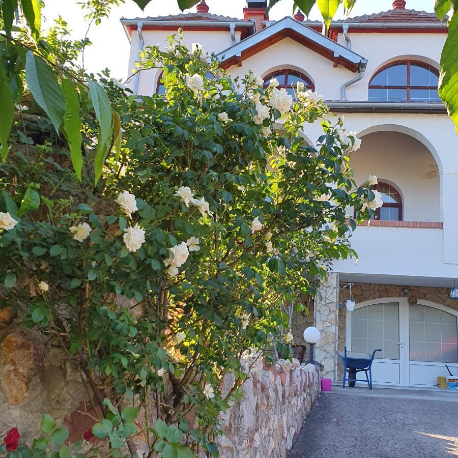 Knez Apartmani Senje Buitenkant foto