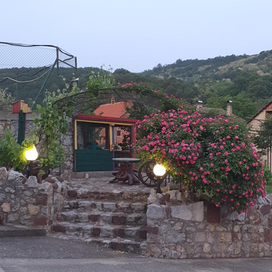 Knez Apartmani Senje Buitenkant foto