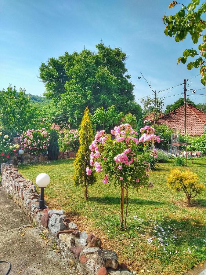 Knez Apartmani Senje Buitenkant foto
