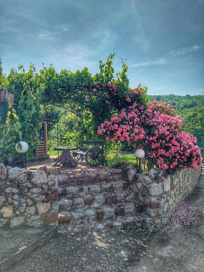Knez Apartmani Senje Buitenkant foto