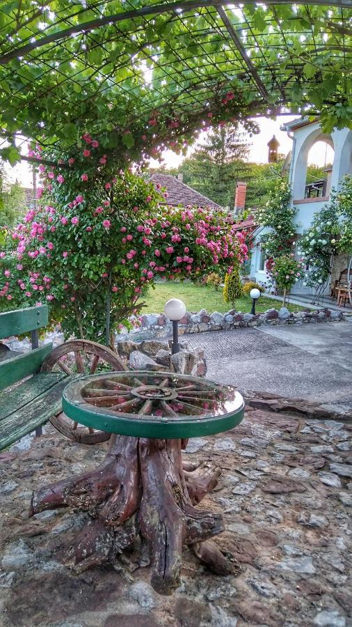 Knez Apartmani Senje Buitenkant foto
