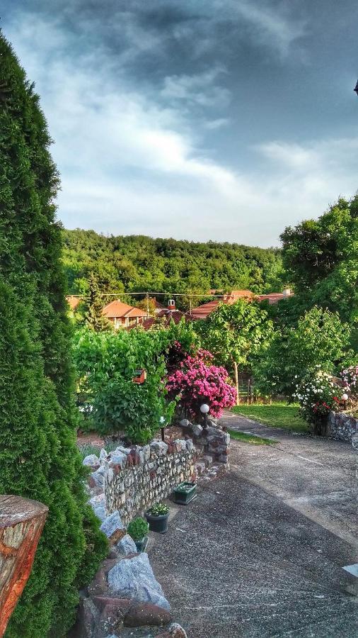 Knez Apartmani Senje Buitenkant foto