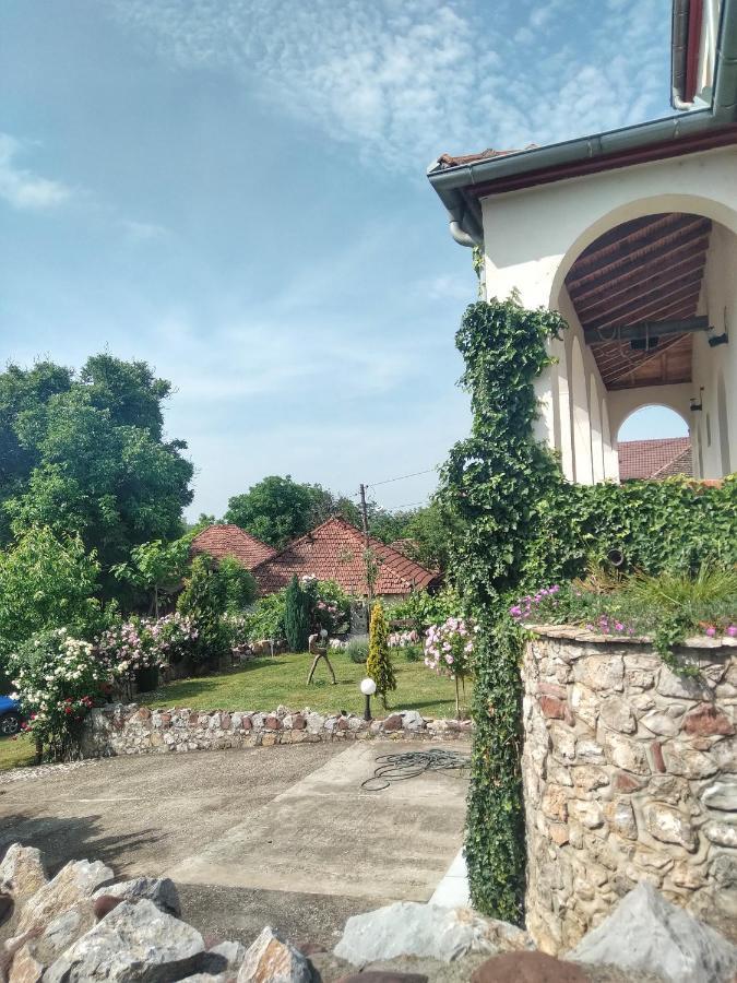 Knez Apartmani Senje Buitenkant foto