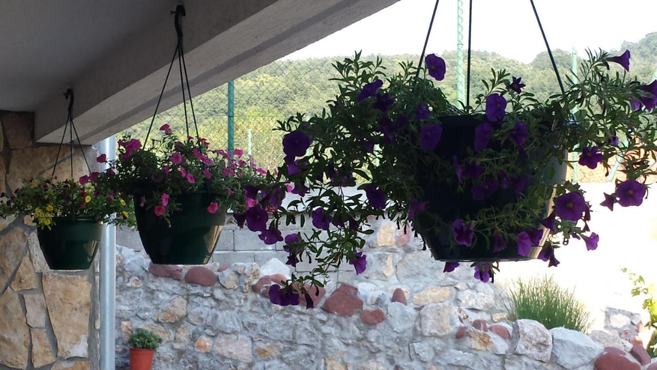 Knez Apartmani Senje Buitenkant foto